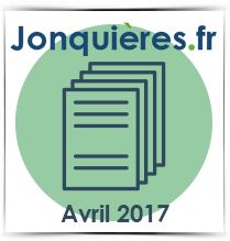 Manifestations culturelles Manifestations culturelles
