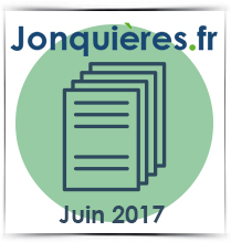 Décision du Maire du 6 juin 2017 Décision du Maire